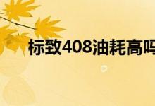  标致408油耗高吗真实车主是这样说的 