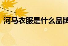 河马衣服是什么品牌（hm衣服是什么品牌）