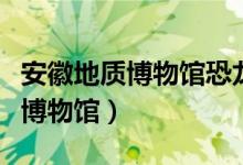 安徽地质博物馆恐龙化石是真的吗（安徽地质博物馆）
