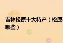 吉林松原十大特产（松原有什么特产值得买松原著名特产有哪些）