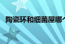 陶瓷环和细菌屋哪个好（对比下就知道！）