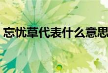 忘忧草代表什么意思（忘忧草的含义是什么）