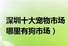 深圳十大宠物市场（深圳宠物市场在哪里深圳哪里有狗市场）
