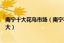 南宁十大花鸟市场（南宁花鸟市场在哪南宁花鸟市场哪个最大）