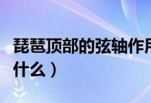 琵琶顶部的弦轴作用（琵琶顶部的弦轴作用是什么）