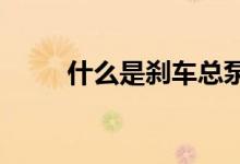  什么是刹车总泵刹车总泵工作原理 