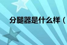 分腿器是什么样（分腿器是干什么用的）