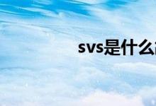  svs是什么故障怎么解决? 