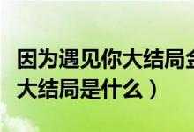 因为遇见你大结局金依蓓怀孕了（因为遇见你大结局是什么）