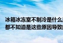 冰箱冰冻室不制冷是什么原因（冰箱冷冻室不制冷大多数人都不知道是这些原因导致的）