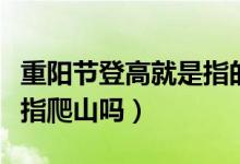 重阳节登高就是指的爬山吗（重阳节登高就是指爬山吗）