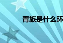 青旅是什么环境（青旅是什么）