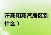 汗蒸和蒸汽房区别（干蒸房和汗蒸房的区别是什么）