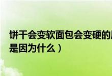 饼干会变软面包会变硬的原因（饼干会变软面包会变硬主要是因为什么）