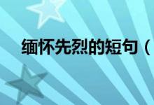 缅怀先烈的短句（缅怀先烈的好词好句）