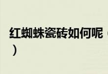 红蜘蛛瓷砖如何呢（红蜘蛛瓷砖的优势有哪些）