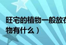 旺宅的植物一般放在家中什么位置（旺宅的植物有什么）