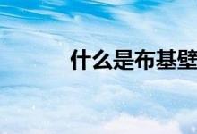 什么是布基壁纸（有什么特点）