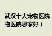 武汉十大宠物医院（武汉宠物医院排名武汉动物医院哪家好）