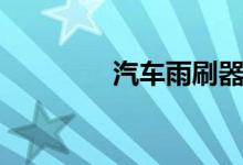 汽车雨刷器（汽车雨刷器）