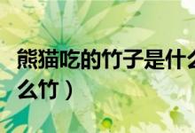 熊猫吃的竹子是什么竹子（熊猫吃的竹子是什么竹）
