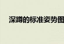 深蹲的标准姿势图解（深蹲的标准姿势）