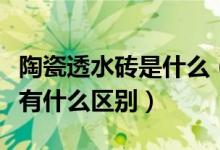 陶瓷透水砖是什么（陶瓷透水砖和普通透水砖有什么区别）