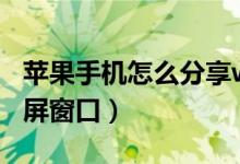 苹果手机怎么分享wifi密码（苹果手机怎么分屏窗口）