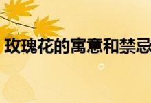 玫瑰花的寓意和禁忌（玫瑰花的寓意是什么）