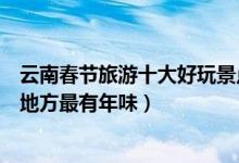 云南春节旅游十大好玩景点（云南过年去哪里好玩云南这些地方最有年味）