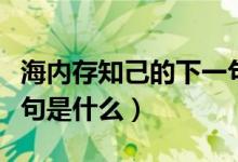 海内存知己的下一句（海内存知己的下一句诗句是什么）