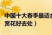 中国十大春季最适合旅游城市（盘点春季踏青赏花好去处）