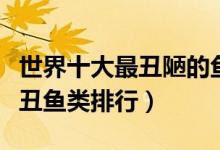 世界十大最丑陋的鱼（世界上最丑的十种鱼最丑鱼类排行）