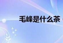 毛峰是什么茶（毛峰属于什么茶）