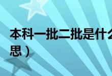本科一批二批是什么（本科一批二批是什么意思）
