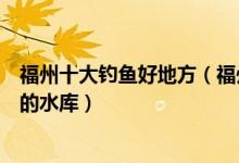 福州十大钓鱼好地方（福州哪里有好的野钓点福州可以钓鱼的水库）
