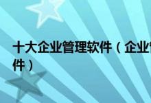 十大企业管理软件（企业管理软件哪个好用企业办公管理软件）