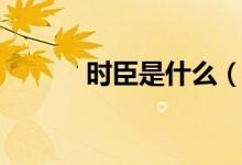 时臣是什么（时臣是什么意思）
