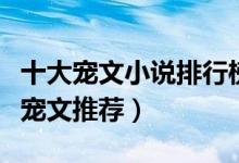 十大宠文小说排行榜（好看的宠文有哪些超甜宠文推荐）