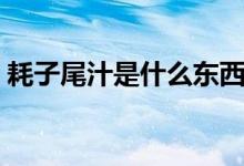 耗子尾汁是什么东西（耗子尾汁是什么意思）
