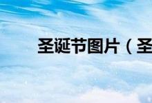 圣诞节图片（圣诞节高清桌面壁纸）