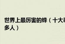 世界上最厉害的蜂（十大毒性最强的蜂第一名已经杀死1000多人）