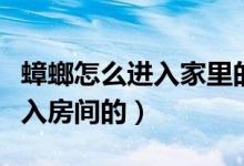 蟑螂怎么进入家里的（蟑螂是通过什么地方进入房间的）