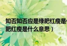知否知否应是绿肥红瘦是什么时候上映的（知否知否应是绿肥红瘦是什么意思）