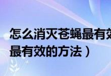 怎么消灭苍蝇最有效的土方法（怎么消灭苍蝇最有效的方法）