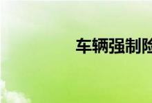  车辆强制险在哪交怎么交 