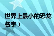 世界上最小的恐龙（世界上最小的恐龙叫什么名字）