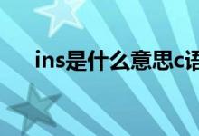 ins是什么意思c语言（ins是什么意思）