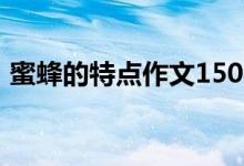 蜜蜂的特点作文150字（蜜蜂的特点有哪些）