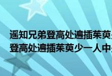 遥知兄弟登高处遍插茱萸少一人中少一人少的是（遥知兄弟登高处遍插茱萸少一人中少一人指谁）
